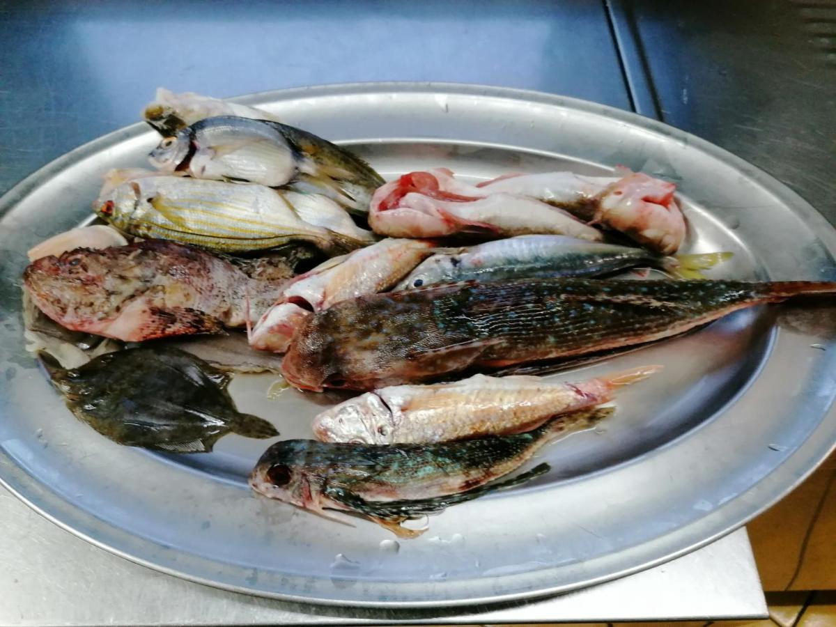 Hotel Posidonia Sapri Bagian luar foto