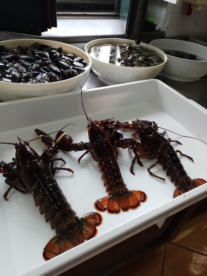 Hotel Posidonia Sapri Bagian luar foto